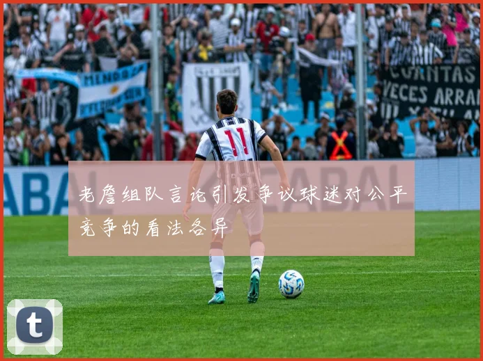 老詹组队言论引发争议球迷对公平竞争的看法各异