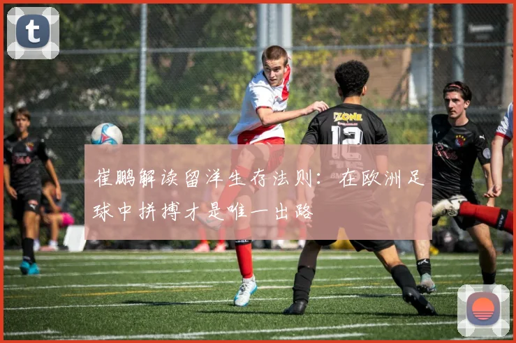 崔鹏解读留洋生存法则：在欧洲足球中拼搏才是唯一出路